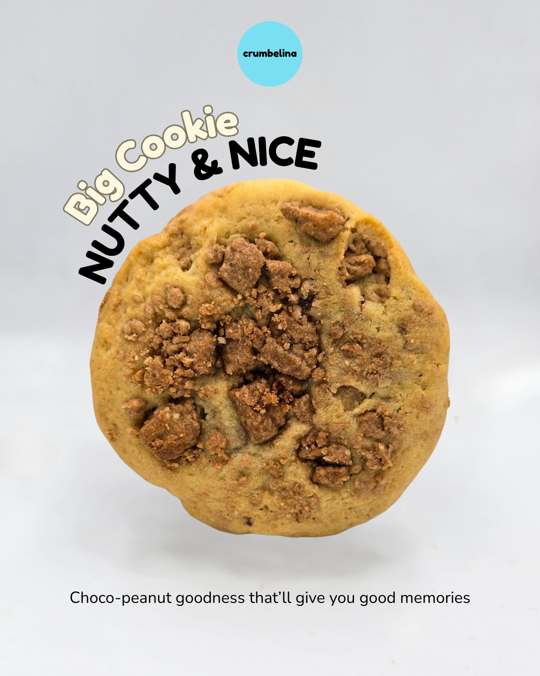Nutty & Nice (Big Cookie)